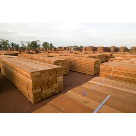 Malaysian Meranti Wood