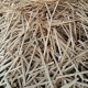 Pine Ripsaw Wood Bits