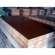 Film Coated Shuttering Plywood